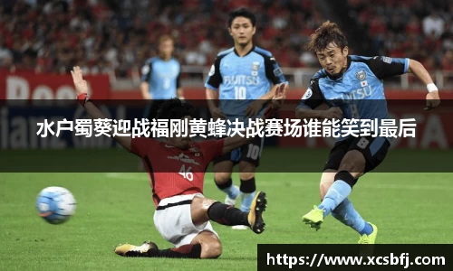水户蜀葵迎战福刚黄蜂决战赛场谁能笑到最后